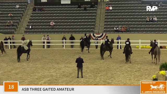 KFC 2020 - Class 18 ASB Three Gaited ...