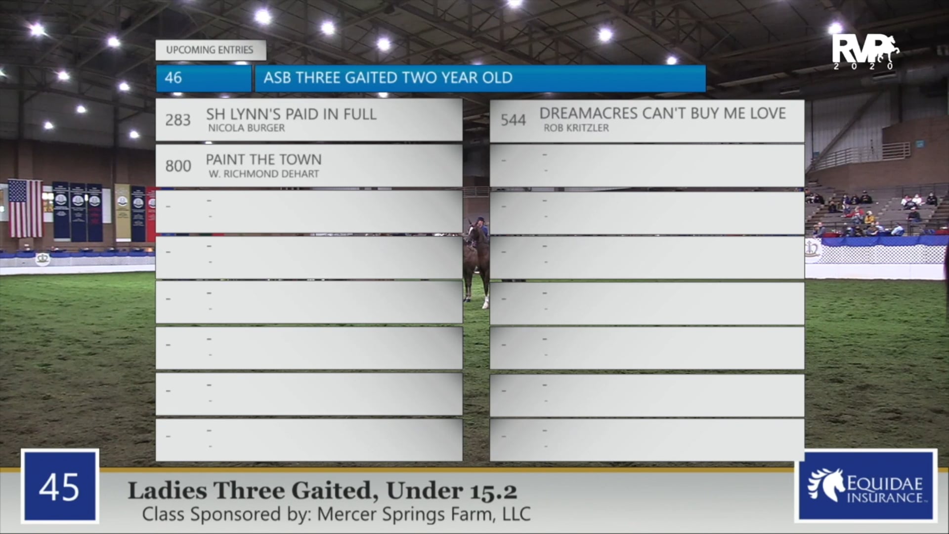 2020 AR - Class 45 Ladies Three Gaited 15.2 & Under