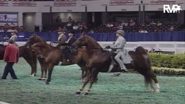 2007 WCHS Class 69 Equitation Open Ri...