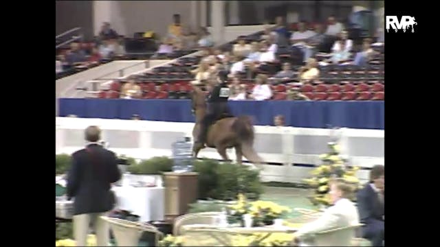 1998 WCHS - Class 70 Equitation Open ...