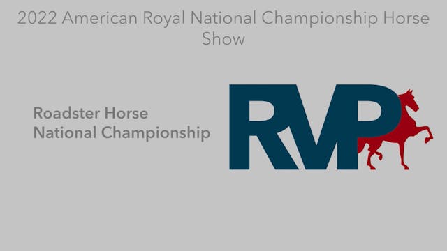 AR22 - Class 183 - Roadster Horse Nat...