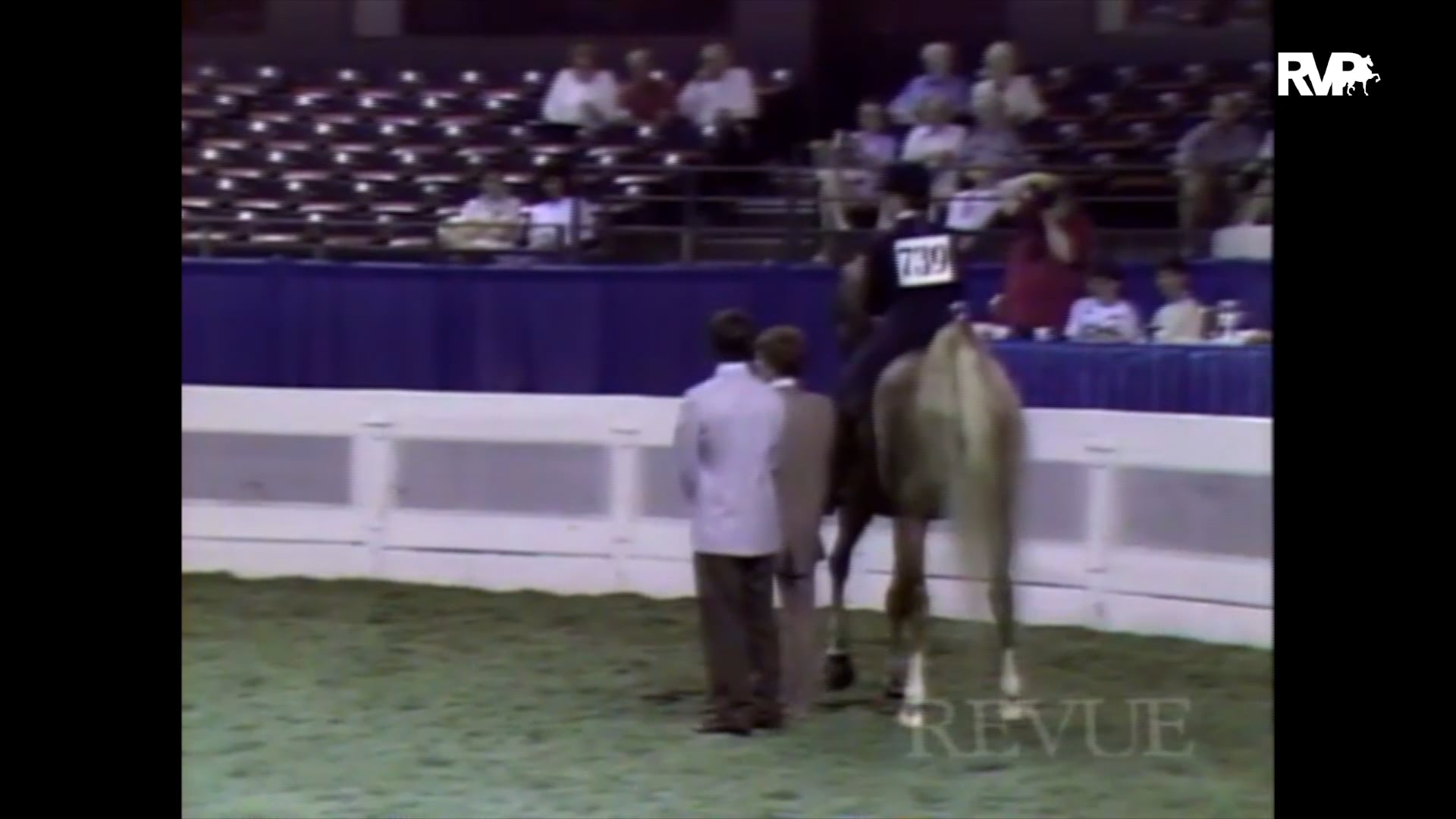 Looking Back at a Visit to Biggins Stables in 1993