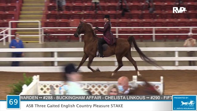 2020 ASF - Class 69 Three Gaited Engl...
