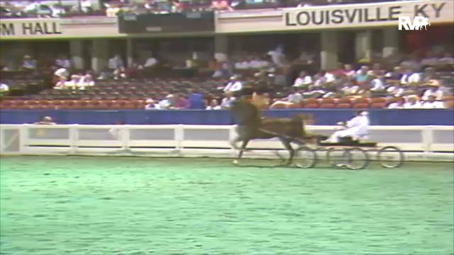 1992 WCHS Class 68 ASHA Amateur Three...