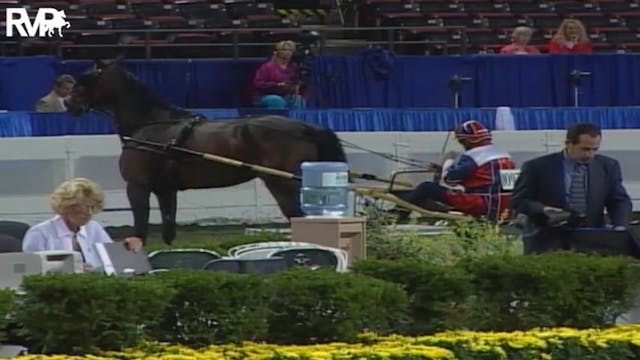 2004 World's Championship Horse Show ...