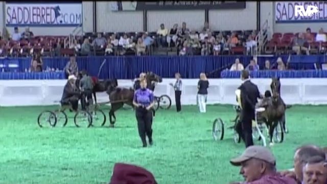 2010 World's Championship Horse Show ...