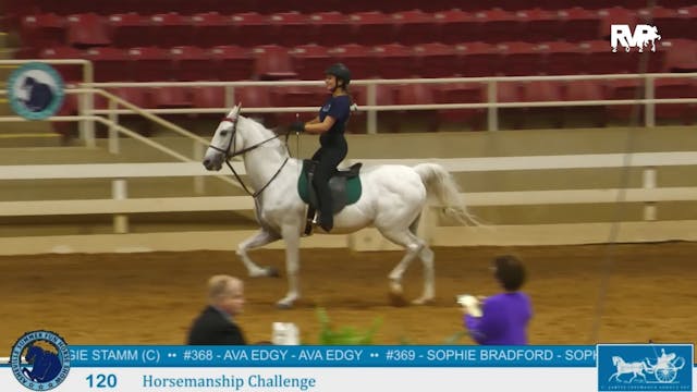 ASF24 - Class 120 - Horsemanship Chal...