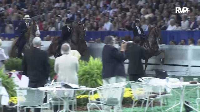 2011 WCHS - Class 240 - Five Gaited C...