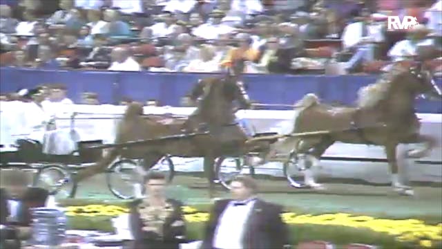 1991 WCHS Class 74 Ladies Fine Harness