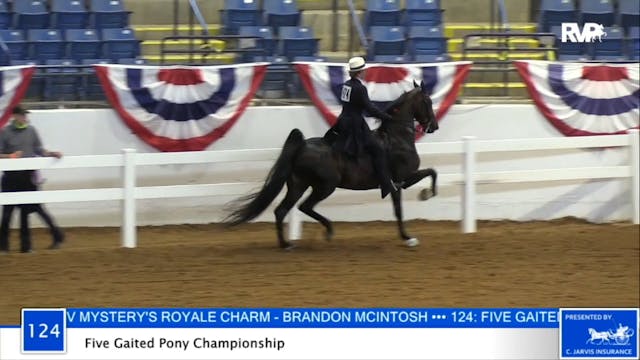 2020 BB - Class 124 Five Gaited Pony ...