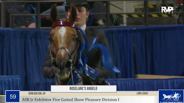 WCHS25 - Class 59 - Roselane's Angelo...