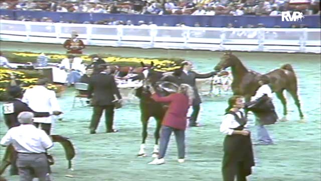 1991 WCHS Class 78A ASHA National Thr...