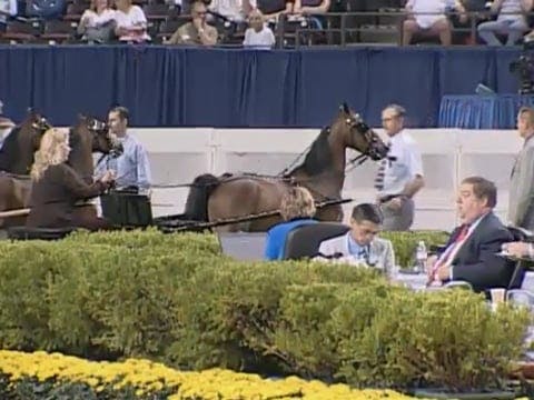 2008 WCHS Class 213 Amateur Adult Hac...
