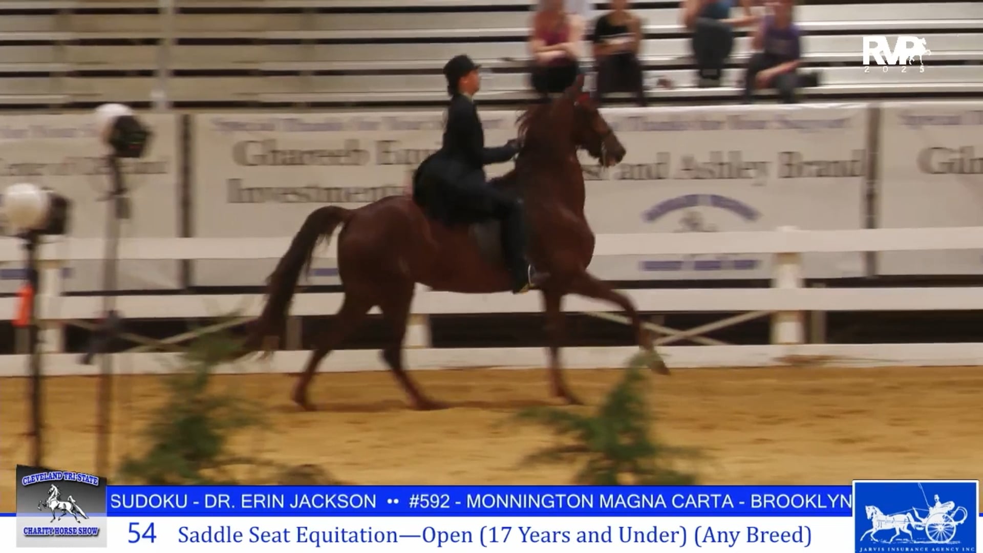 CTS25 - Class 54 - Saddle Seat Equitation 17 & Under Open