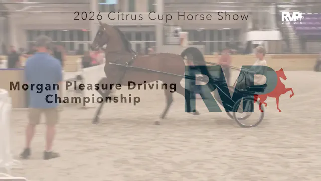 CC26 - Class 205 - Morgan Pleasure Dr...