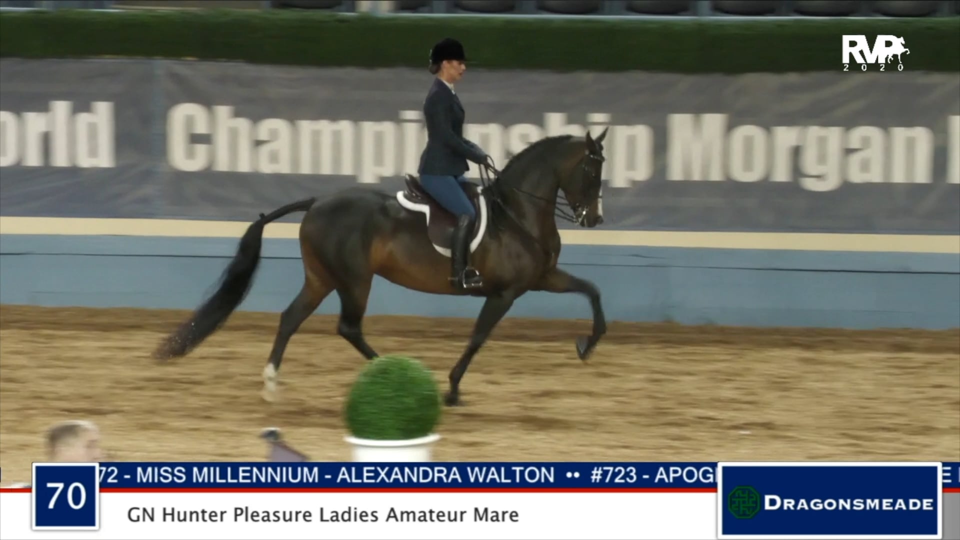 2020 MGN - Class 70 GN Hunter Pleasure Ladies Amateur Mare