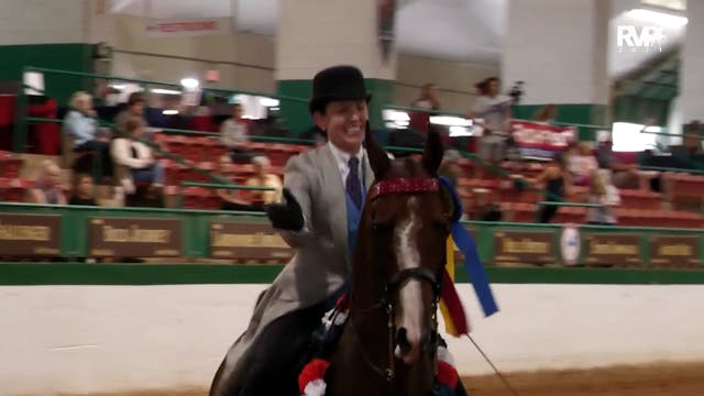 NCSC21 - Class 83 - ASB Three Gaited ...