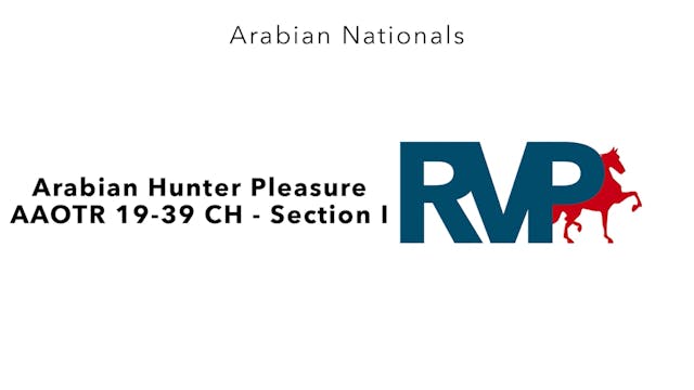 AN24 - Class 2133A - Arabian Hunter P...