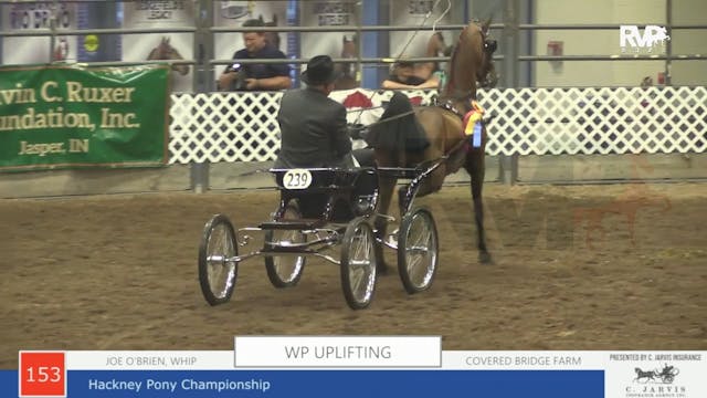 AAC22 - Class 153 -  WP Uplifting and...