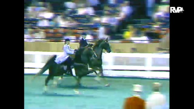 1988 WCHS Class 33 Ladies Five Gaited...