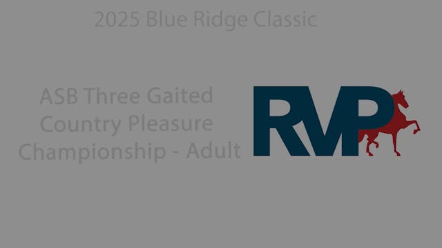 BRC25 - Class 172 - ASB Three Gaited ...