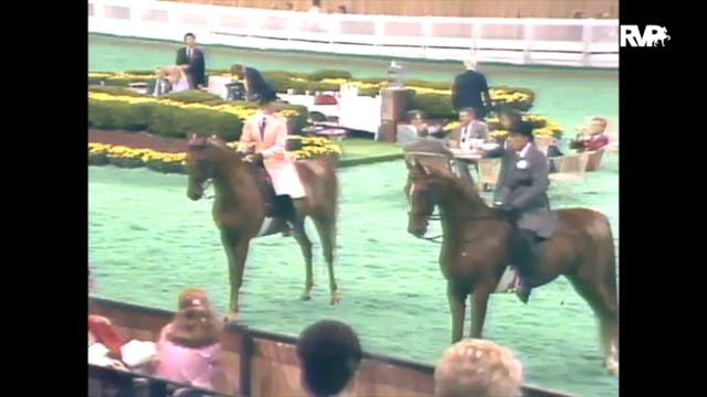 1989 WCHS Class 20 ASHA National Futu...