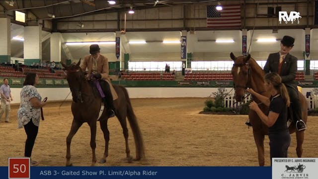 NCSC22 - Class 50 -  ASB Three Gaited...