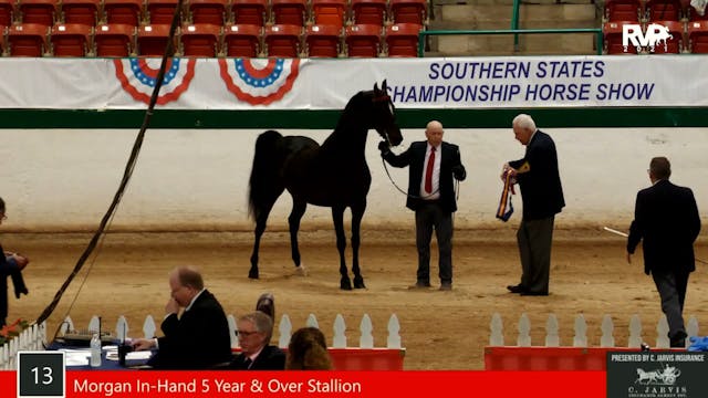SS21 - Class 13 - Morgan In-Hand, 5 Y...