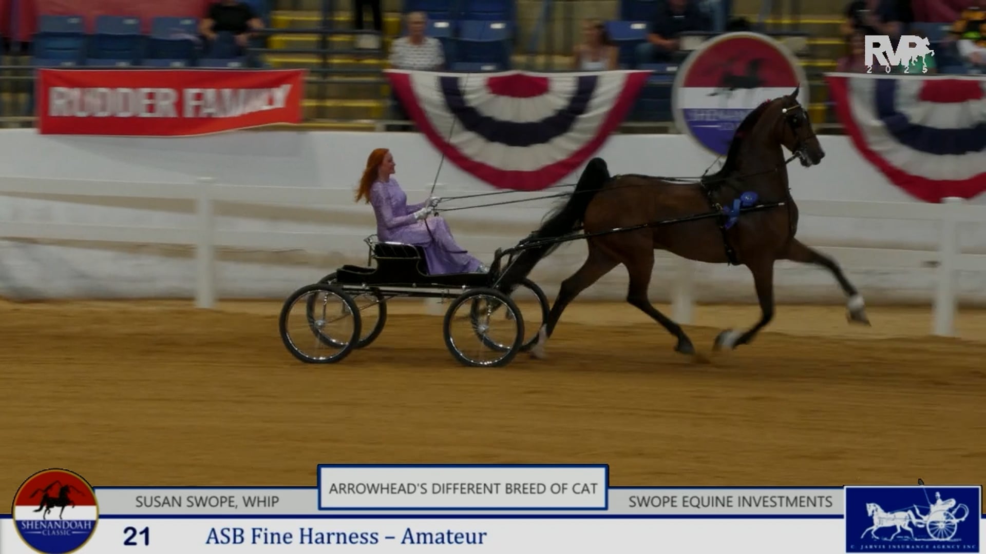 SC25 - Class 21 - Arrowhead's Different Breed of Cat and Susan Swope, Whip