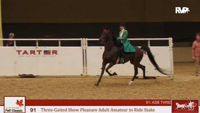 KFC24 - Class 91 - Three Gaited Show ...