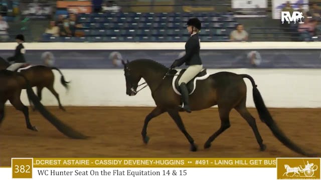 MGN23 - Class 382 - WC Hunter Seat On...