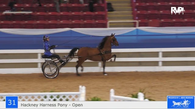 ASF23 - Class 31 -  Roadster Pony Nov...