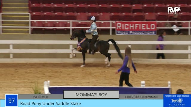 ASW21 - Class 97 - Road Pony Under Sa...