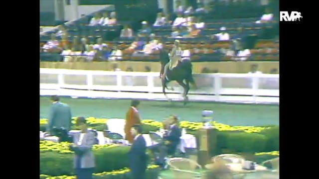 1988 WCHS Class 42 Equitation - Open ...