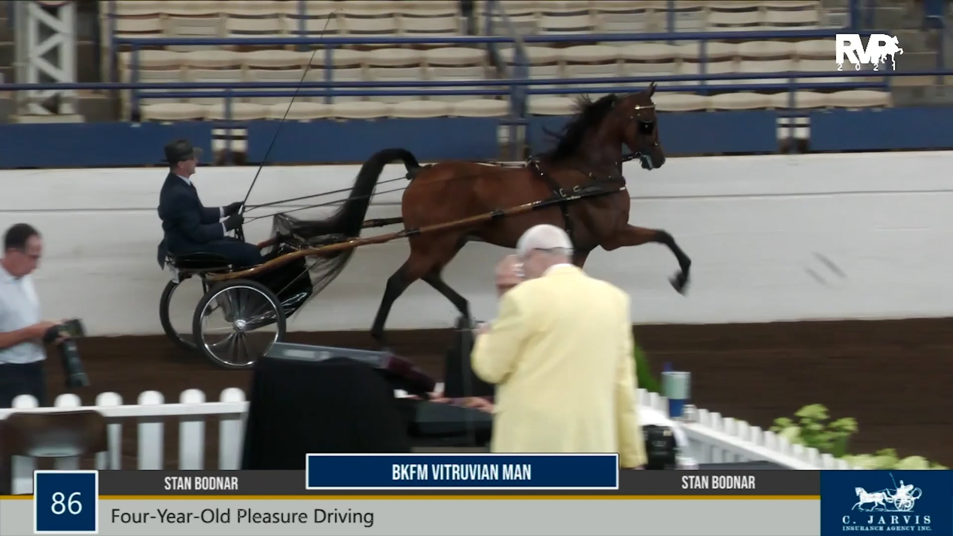 MJ21 - Class 86 - Four Year Old Pleasure Driving