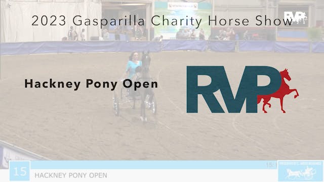 GASP23 - Class 15 - Hackney Pony Open