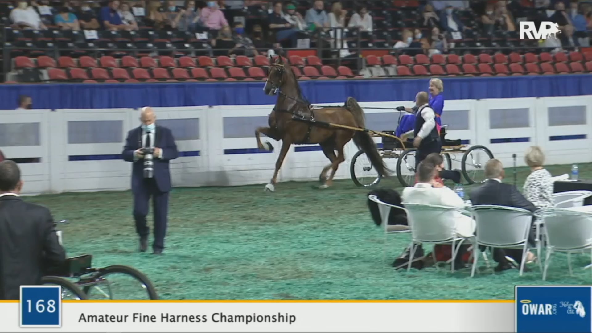 WCHS 2020 Class 168 - Amateur Fine Harness Championship