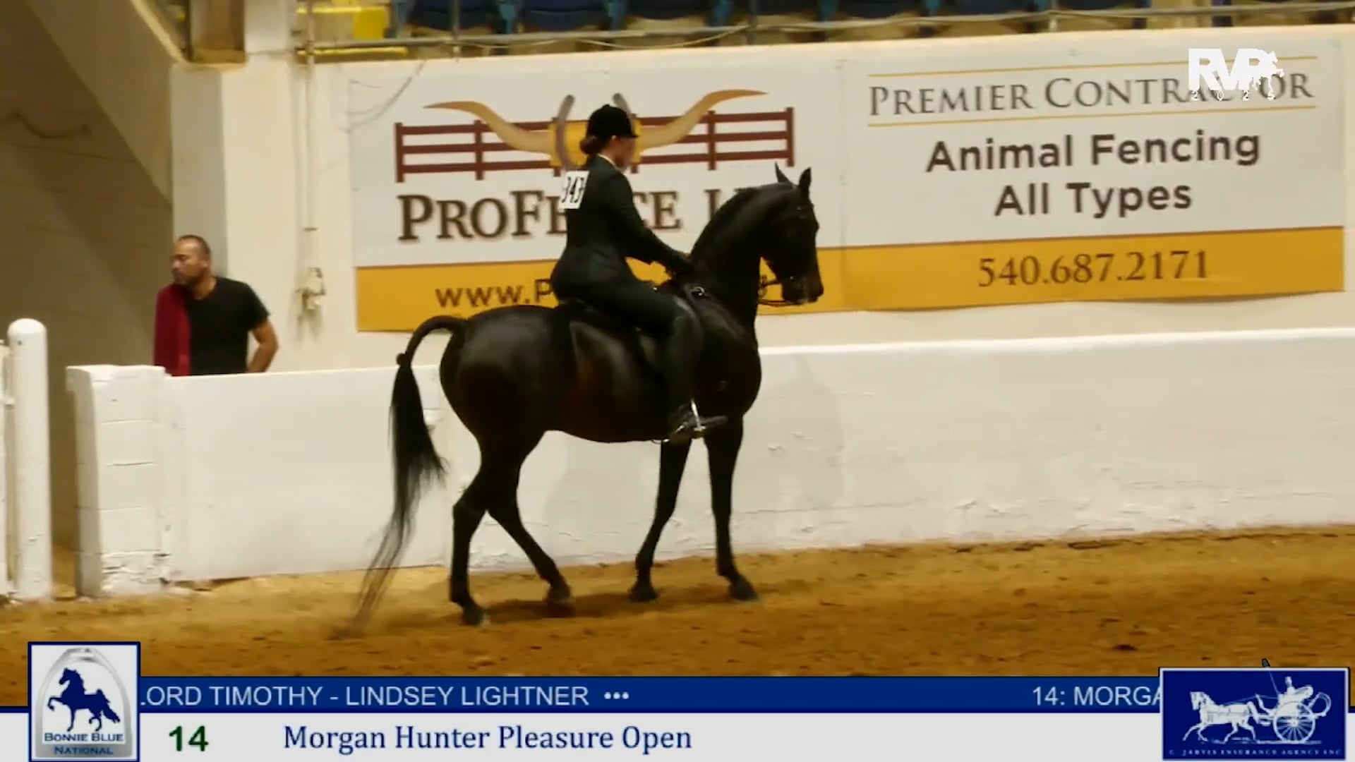 BB25 - Class 14 - Morgan Hunter Pleasure Open