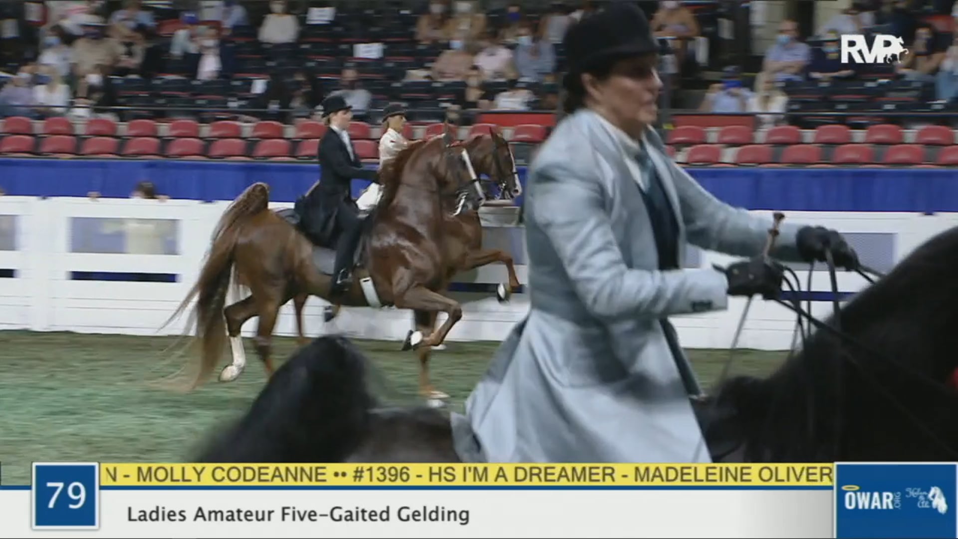 WCHS 2020 Class 79- Ladies Amateur Five-Gaited Gelding