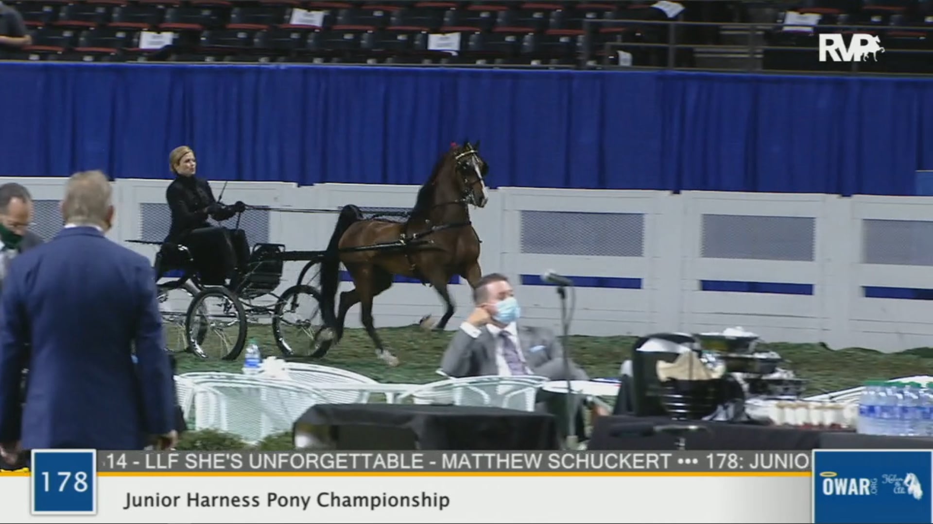 WCHS 2020 Class 178 - Junior Harness Pony Championship