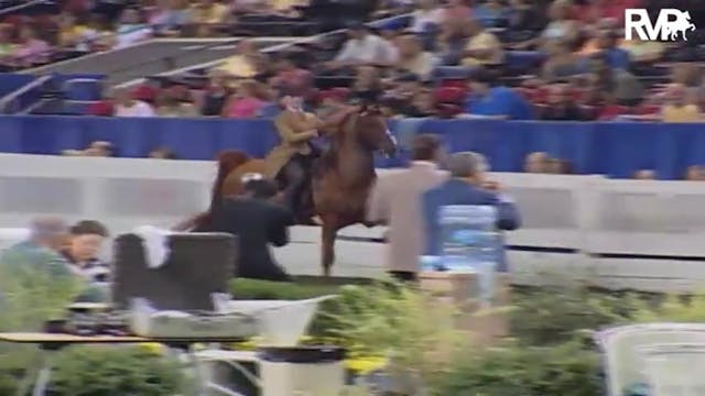 2004 World's Championship Horse Show ...