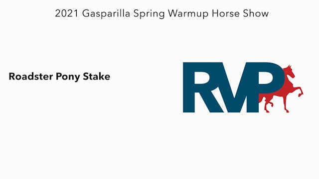 GASP21 - Class 102 - Roadster Pony Stake