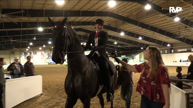 2020UPHA16 - Class 27 - CH Undulata's...