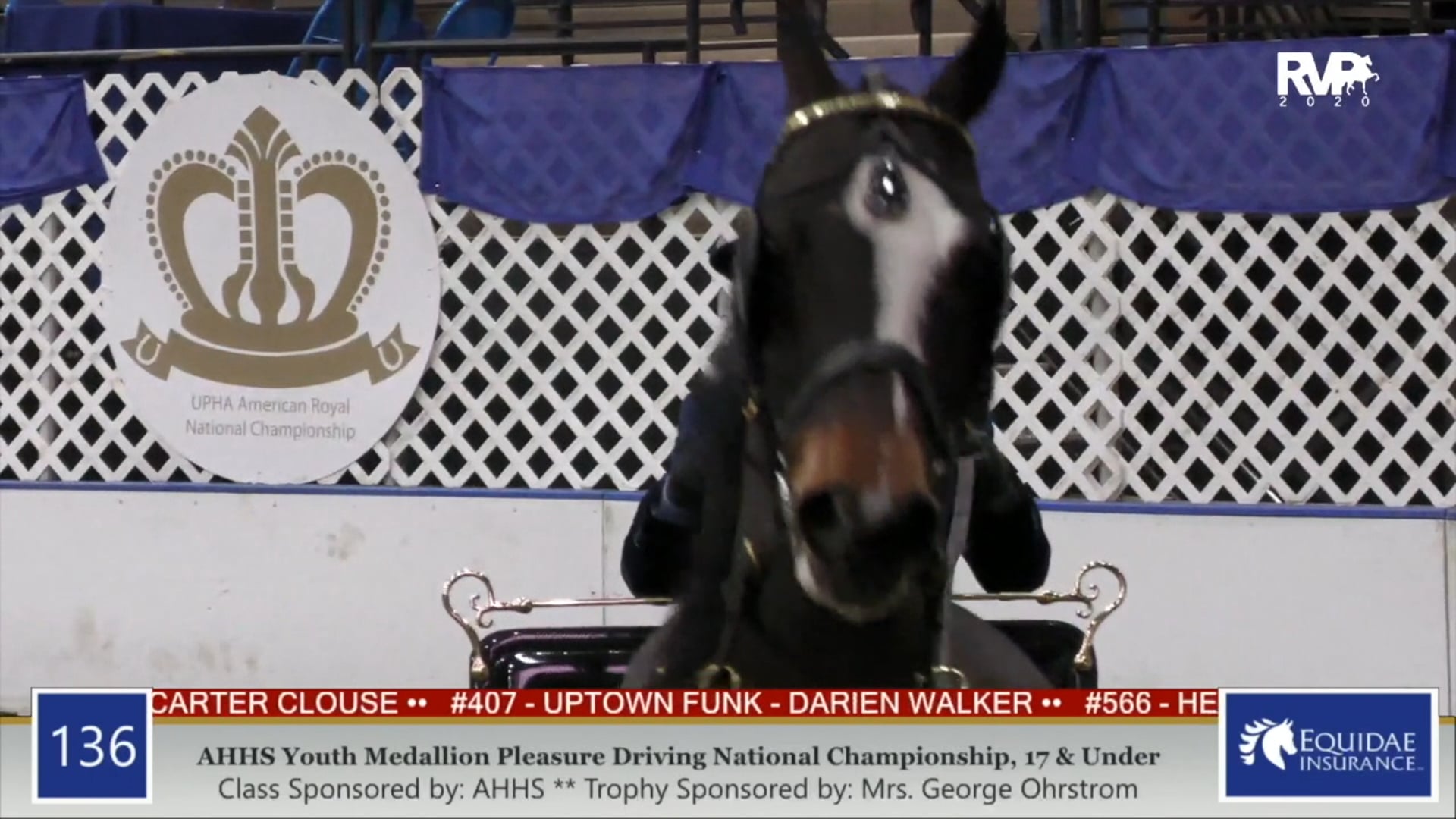 2020 AR - Class 136 AHHS Youth Medallion Pleasure
Driving National Championship
17 & Under