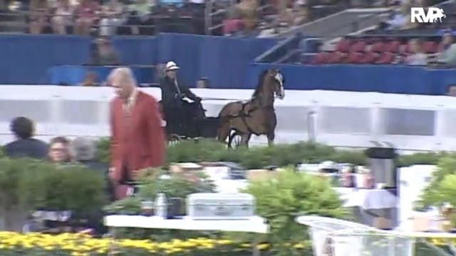 2010 World's Championship Horse Show ...