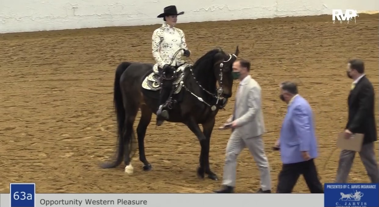 BB21 - Class 63A - Opportunity Western Pleasure 