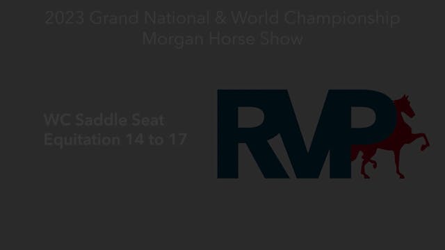 MGN23 - Class 399 - WC Saddle Seat Eq...