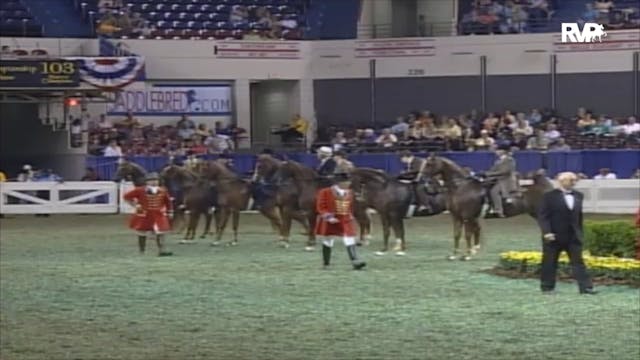 2006 WCHS Class 106 Five Gaited Mare