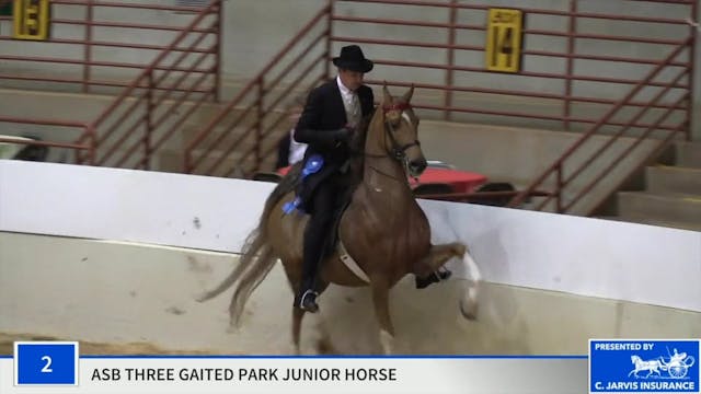 ProAm19 - Class 2 - Sugar Fund