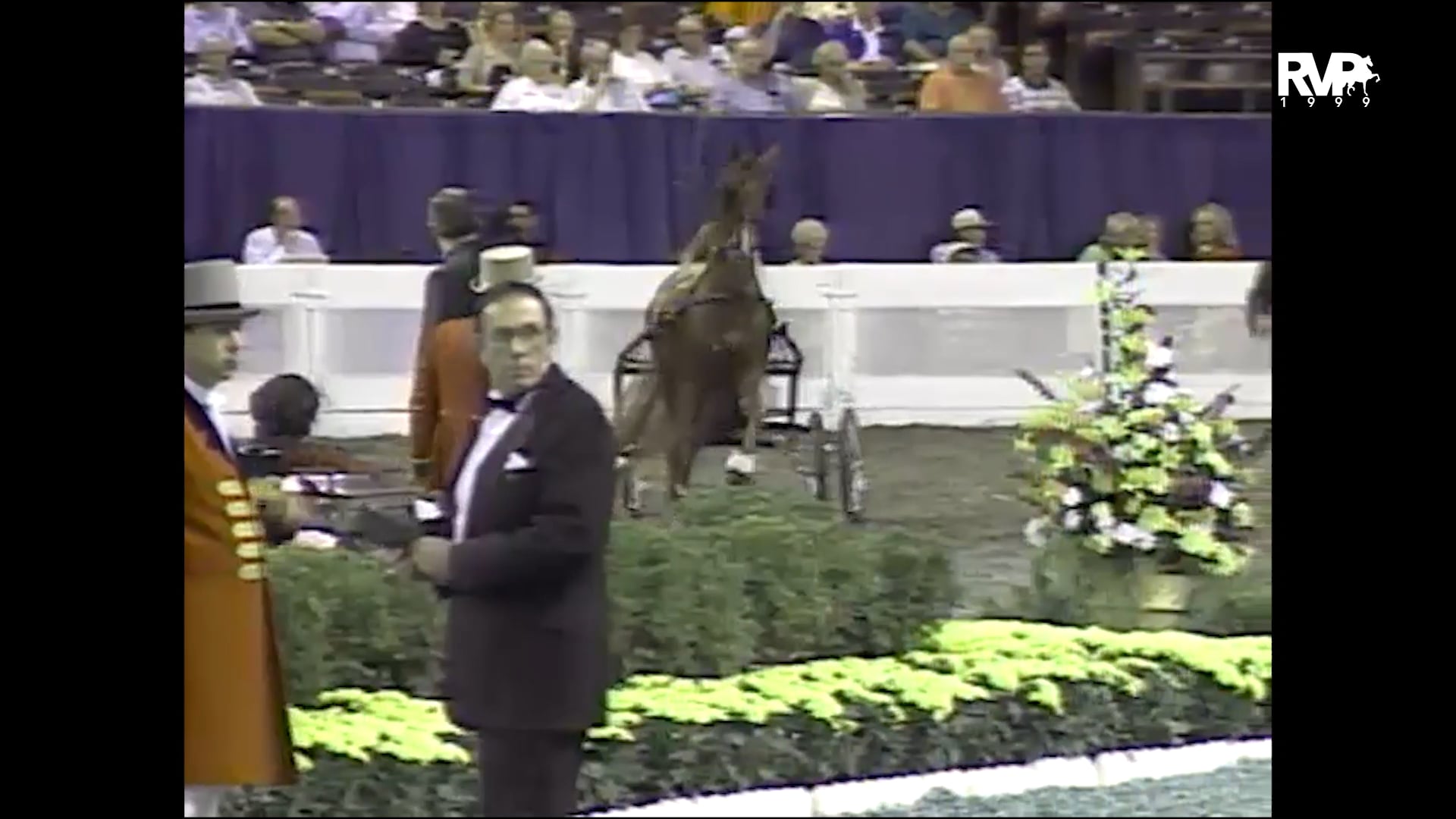 1999 WCHS - Class 101 Ladies Fine Harness Stake